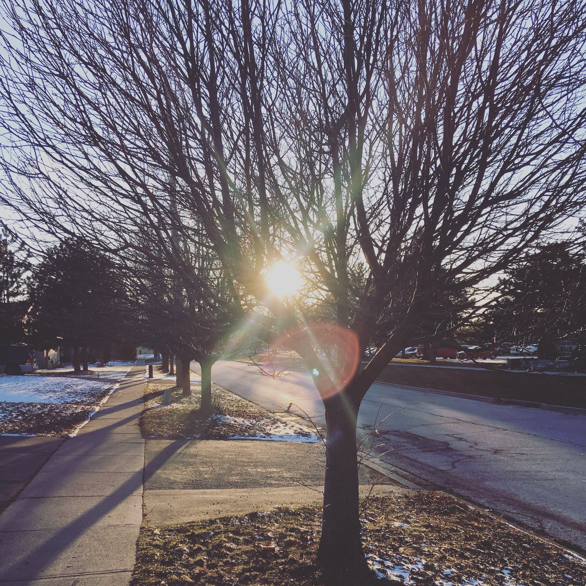 CreativeImpulse's tweet photo. Happiest when the Sun shines. 🌞🌳🌼
#weatherincanada #winters #waterloodiaries #eveningwalkscenes #sunshine #happyme #iphoneography #creativeliving #petitejoys #lifeisgood #climate #sunnyday https://t.co/niq74xEni4