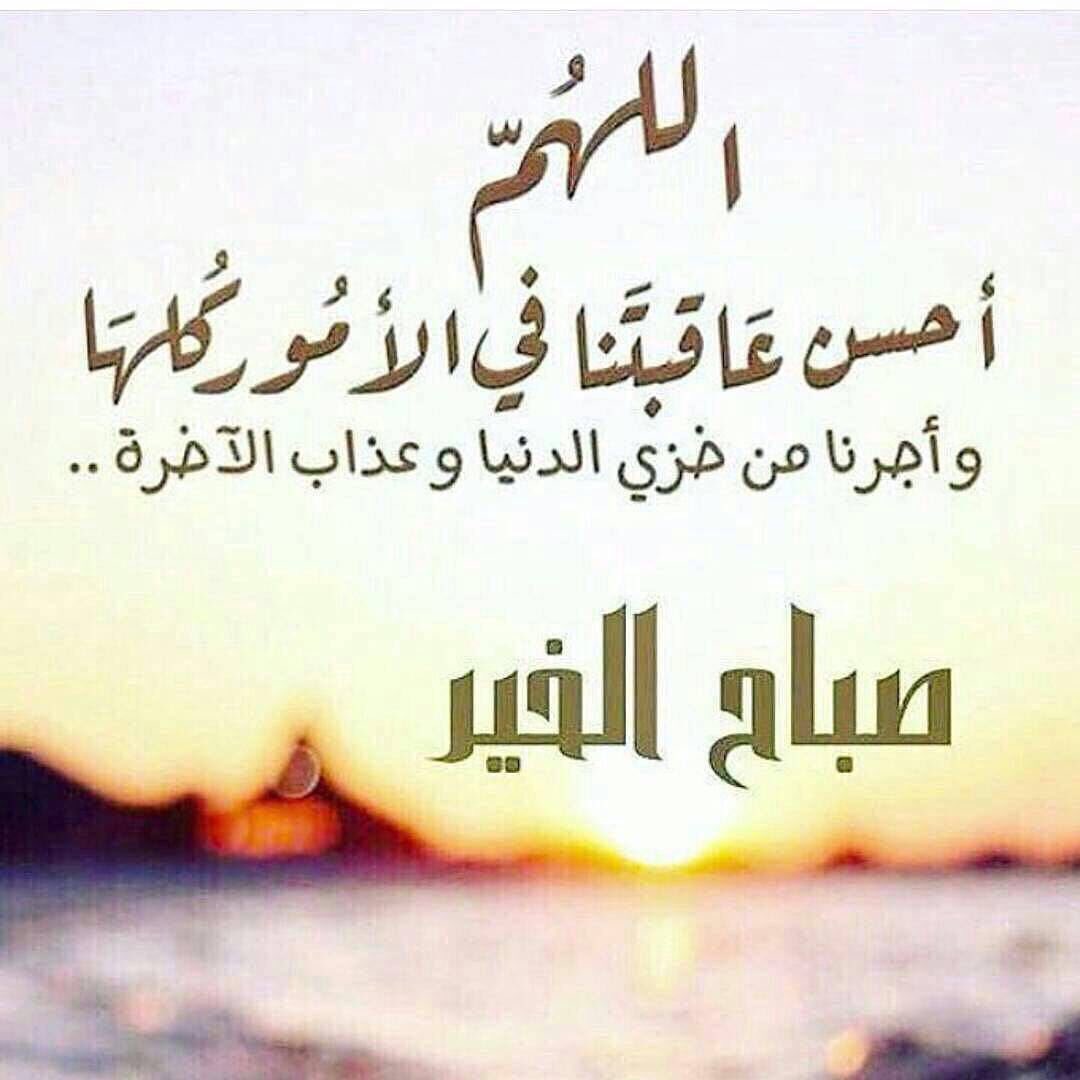 zayed699's tweet image. 