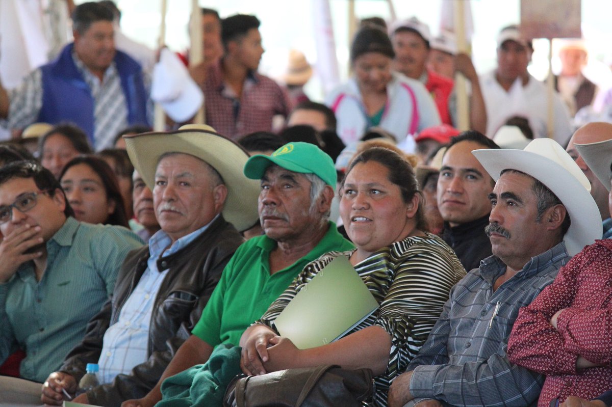 Mely_Romero's tweet photo. Hidalgo es un estado estratégico para el sector agroalimentario por el compromiso y trabajo de las mujeres, jóvenes y pequeños productores! https://t.co/Gy1XYQNaka