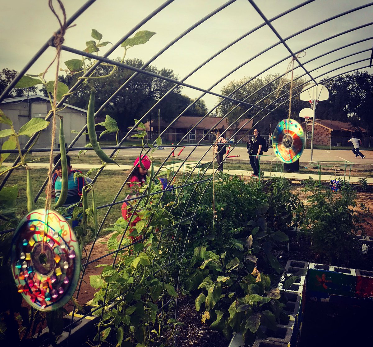 jturner611's tweet photo. K-2 Garden Art Enrichment club creating bird deterrent decor for our #TXSprouts garden @VoigtAIA_RRISD #VikingsGotHeart https://t.co/s2w6OCTUIb