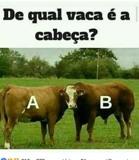 Daiana #TimBeta (@daysilva200) on Twitter photo 