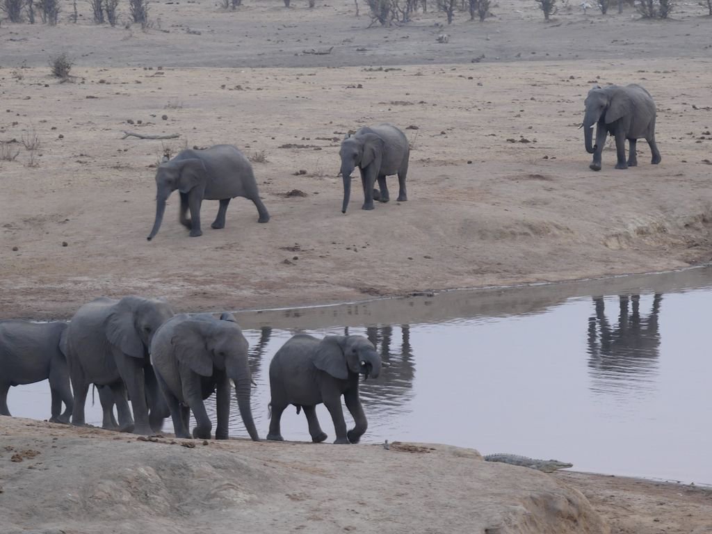 Elizabeth Willoughby tweet media