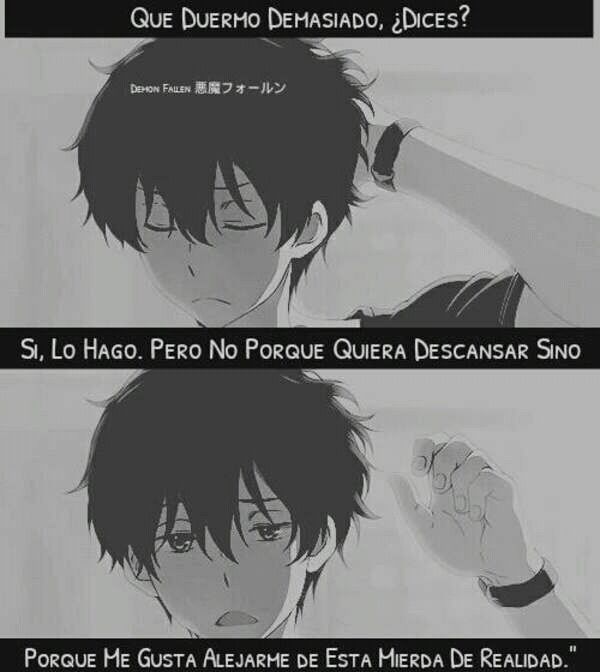 eY65evdELevibay's tweet photo. Por esa razón me gusta dormir... https://t.co/OJrw1sRa9b