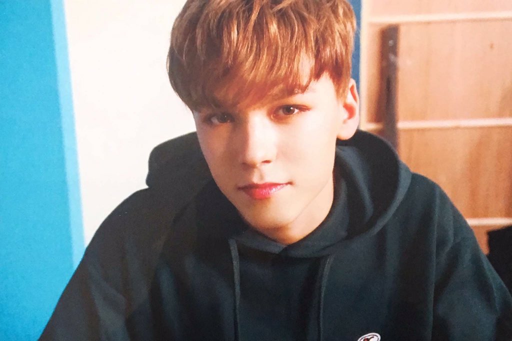 low quality vernon ✨ (@lowqualityhvc) on Twitter photo 