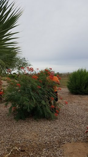 KenRayTaylor's tweet photo. #NERVEmber Task 7 - finding Orange in Nature. We actually found a few bits of orange in an AZ Desert #GoOrange #PaintTheWorldOrange #FindKen https://t.co/X0kG8NPLsE