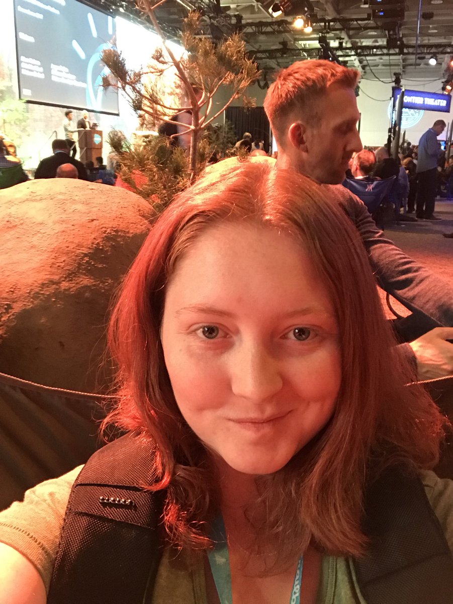 heatherldstorm's tweet photo. Omg, I haven’t taken a #selfie yet!!! Here we go... #df17 #developerForest https://t.co/NgwPdkaUMd
