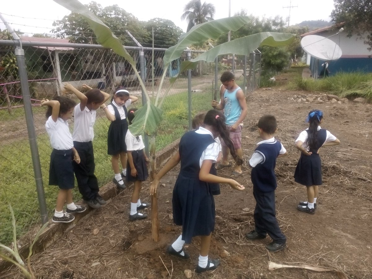 trino_arc's tweet photo. HOY CHARLA EDUCATIVA  Y NUTRIENDO CONCIENCIAS EN COMO SER AUTOSUSTENTABLES CON NUESTRAS SIEMBRAS EDUCATIVAS EN LA ESCUELA EL BOLIVARIANO DE ANTONIO ROMULO COSTA (LAS MESAS) https://t.co/QB8eObBr8w