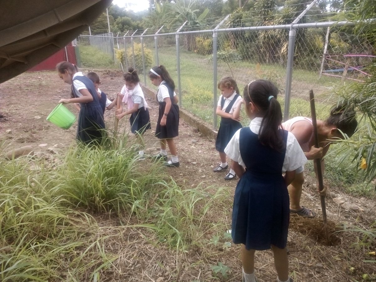 trino_arc's tweet photo. HOY CHARLA EDUCATIVA  Y NUTRIENDO CONCIENCIAS EN COMO SER AUTOSUSTENTABLES CON NUESTRAS SIEMBRAS EDUCATIVAS EN LA ESCUELA EL BOLIVARIANO DE ANTONIO ROMULO COSTA (LAS MESAS) https://t.co/CbndMZoet8