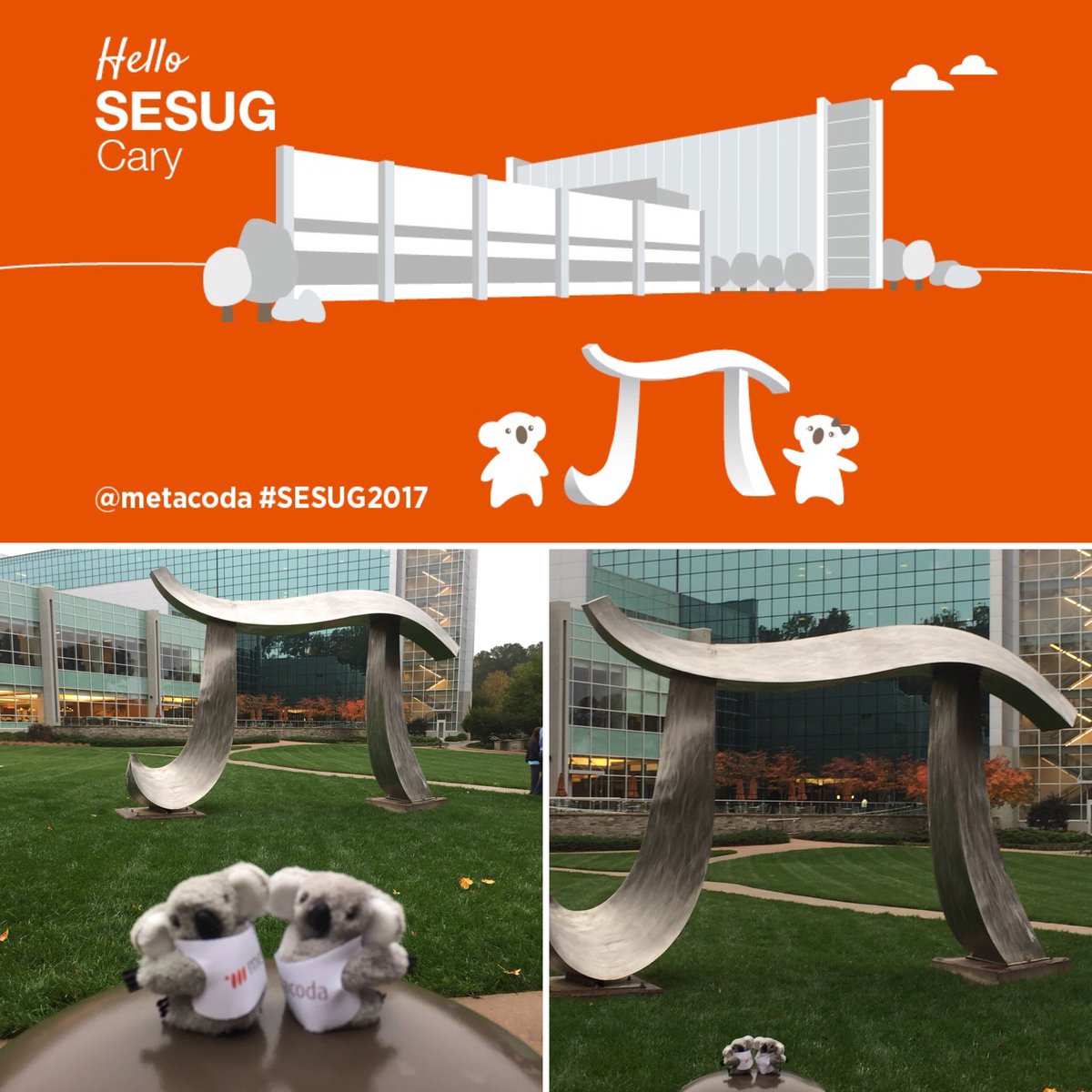 metacoda's tweet photo. The @metacoda koalas enjoyed their time on @SASsoftware campus for #SESUG2017. Thx @anemoneeater for helping to create this @SESUG1 collage https://t.co/3jCscbjUWW