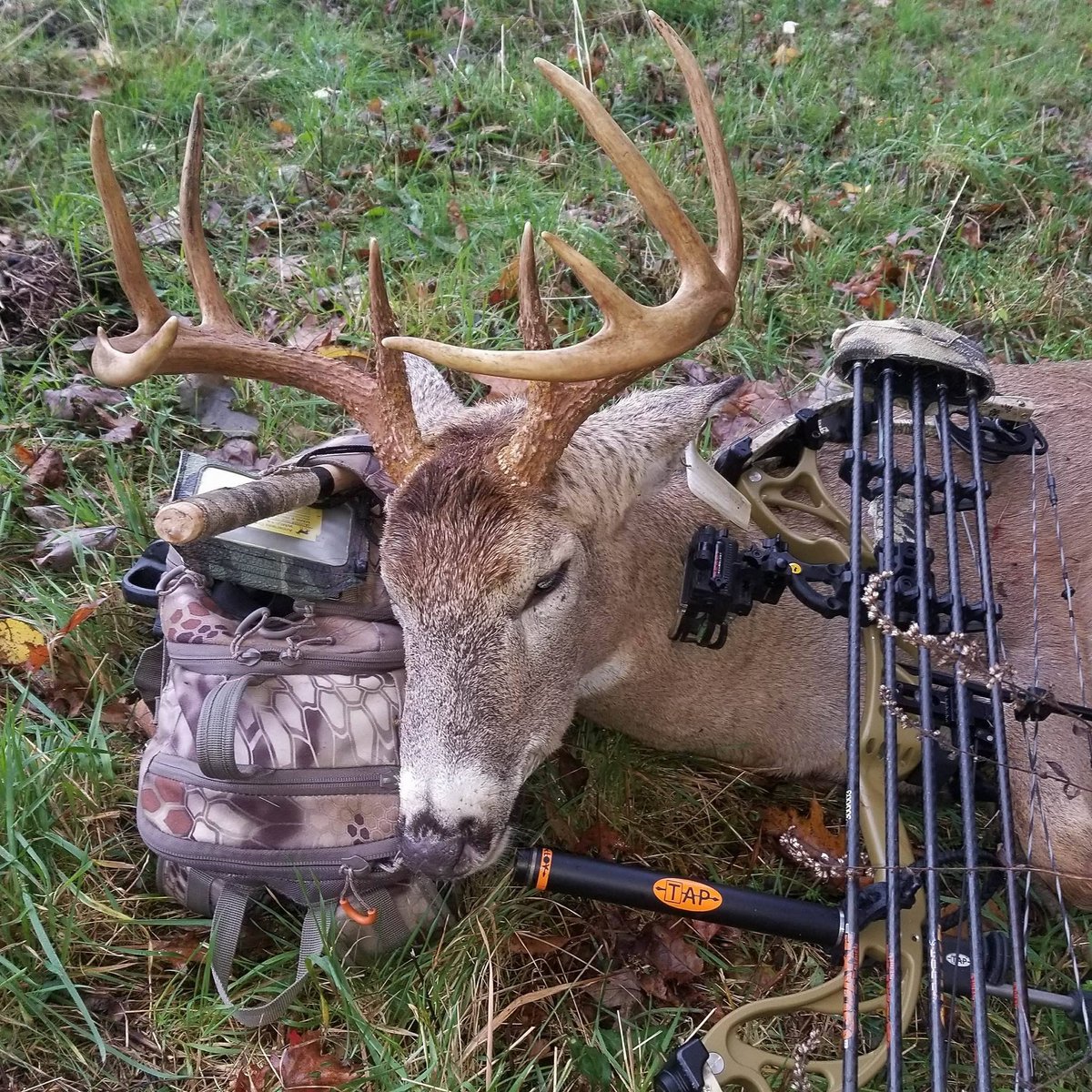 Great looking PA Buck harvested by one of our Brand Ambassadors. #bigbuckdown #titaniumarcheryproducts #bowhunting