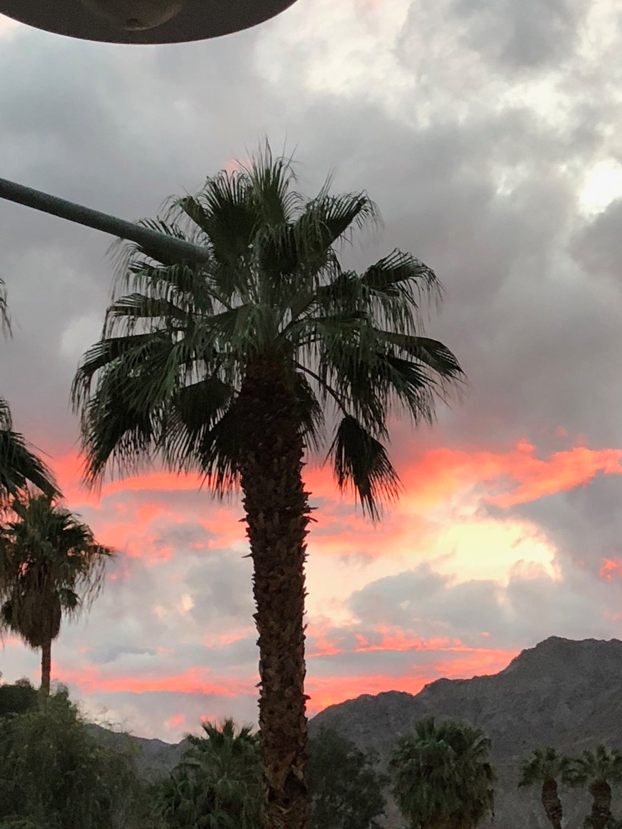 Gearing up for a great #APM2017CA conference in Palm Springs! #psychosomatics #medicalpsychiatry