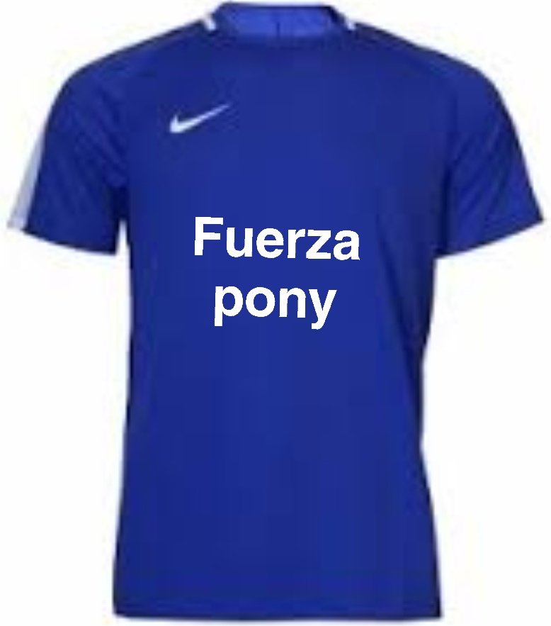En un gesto de apoyo y solidaridad, nuestros jugadores saltarán al calentamiento con esta playera. #FuerzaPony