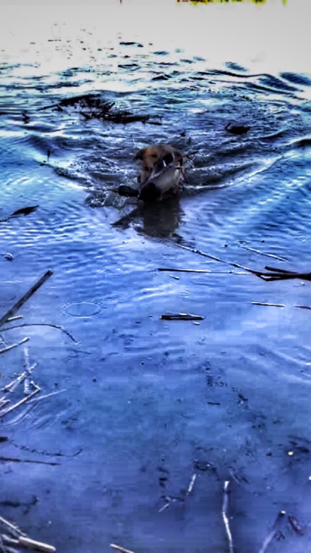 TannerLloyd_25's tweet photo. #naturesmenu365 https://t.co/Cz4idtz2E8