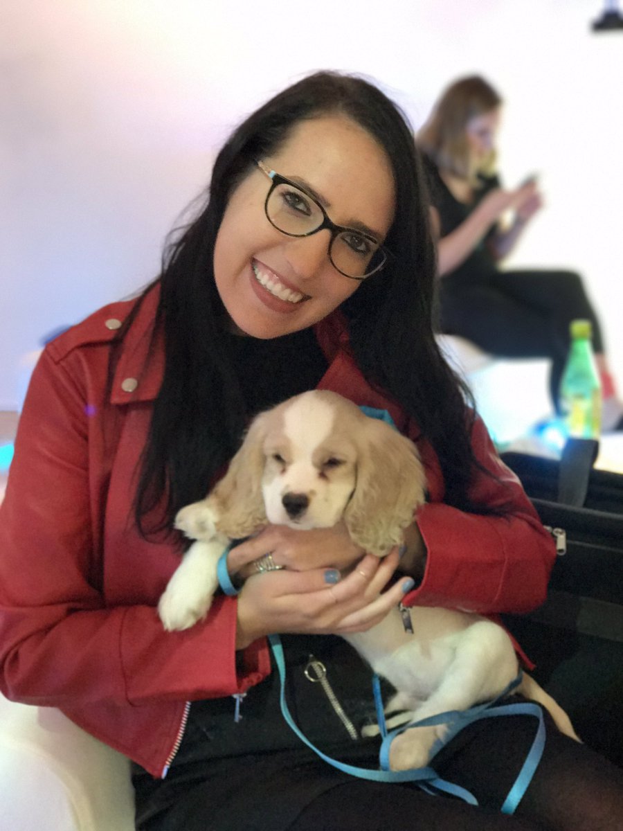 SoFi's tweet photo. We're here at #RefiandRelax and there are puppies from @SocialTeesNYC ! @SoFi will sponsor any adoptions that come out of tonight's event. https://t.co/koHZBdaqV7