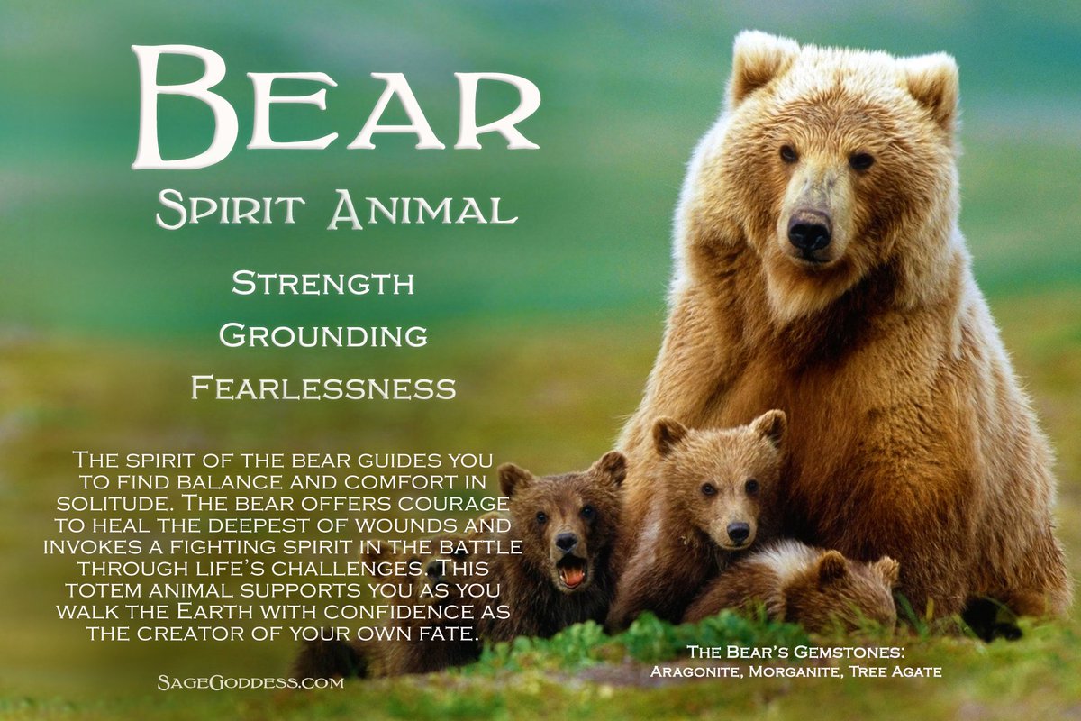 Bear Spirit Animal, Meaning