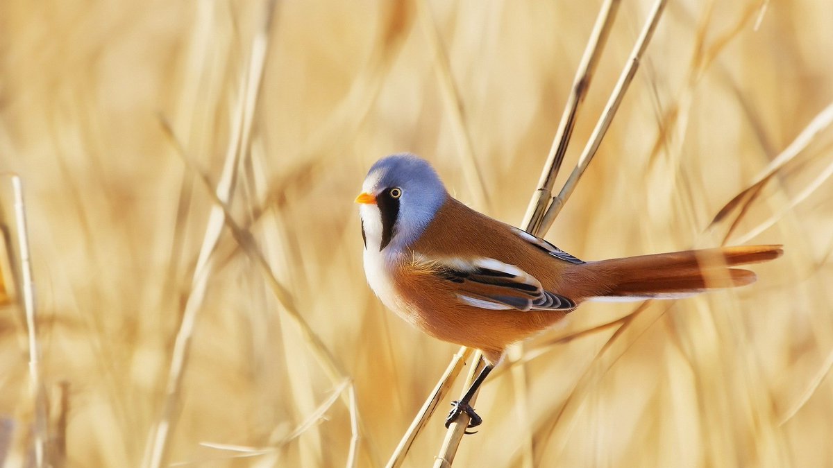 Mark8a8's tweet image. So beautiful