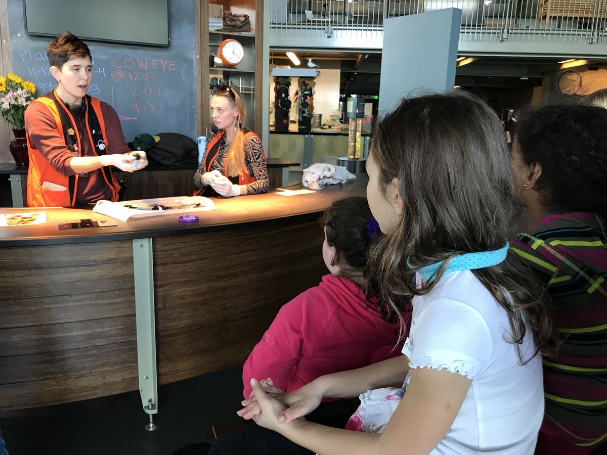 MsWherritt's tweet photo. Dissecting a cow’s eyeball at the Exploratorium @bvwcsd https://t.co/zGRhW2rZnv