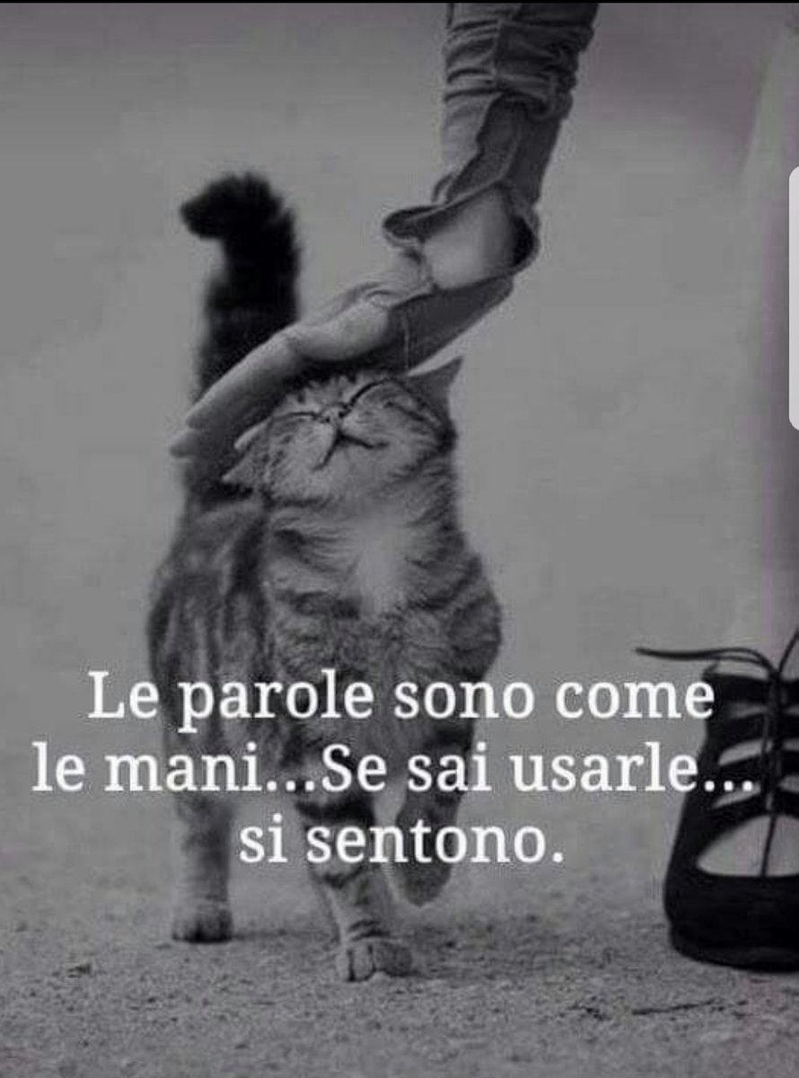 SoglianiC's tweet photo. Le parole...
Buon mercoledì a tutti 🌹 https://t.co/QeWipcEoBm