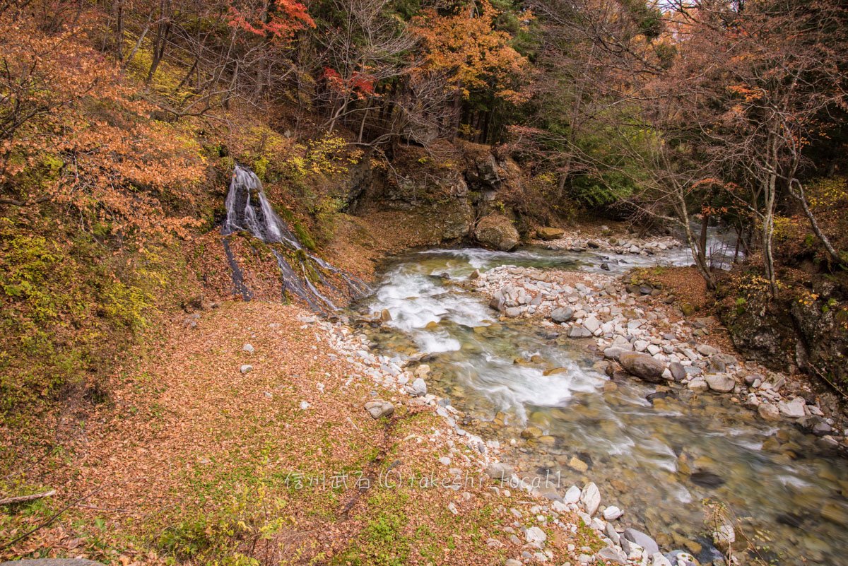 Uzivatel おいでよ美ヶ原 長野県医療非常事態宣言 Na Twitteru 11 8 信州武石 の 紅葉状況 先ほど もみじ橋 へ行ってきました こちらもほとんど落葉していますが ちょこっと 紅葉 が残ってます 黄色味の強い武石の紅葉 赤い紅葉は貴重なので もちっと落ちずに