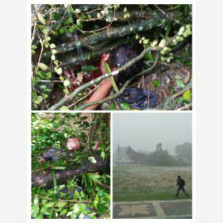 Lihat gambar di Twitter Lihat gambar di Twitter