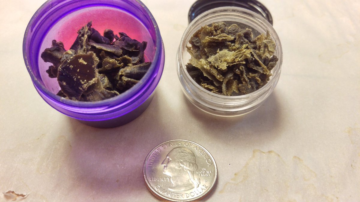 etard_webcam's tweet photo. I made #BubbleHash from my #ThinMintGirlScoutCookies🍪plant.
The one on the left is 25 micron & the one the right is 73 micron.
#Hash #Hashish #MedicalHash #MedicalMarijuana #Marijuana #Cannabis #Weed #THC #California https://t.co/GE8KZS3ZaK