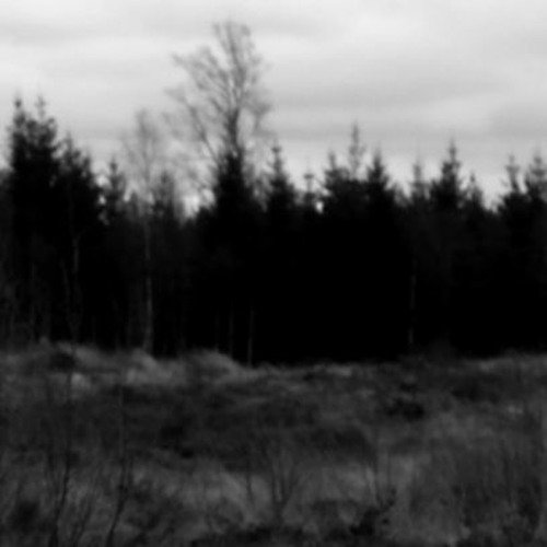 ArnoSkipars's tweet photo. Skóll - 2017 - February https://t.co/uMaLiexblr https://t.co/dww4sgLplo