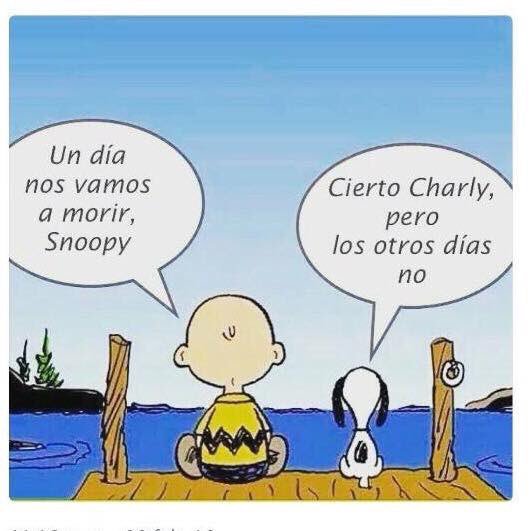 smoll73's tweet photo. Pues eso... Que buenos días... https://t.co/GesrhfcxSP