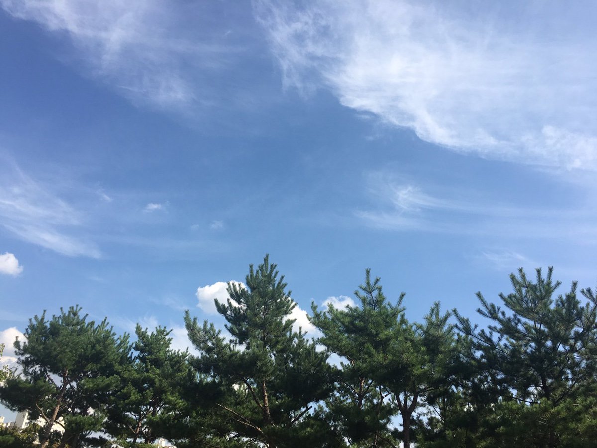 #서호공원 에서 바라본 가을 하늘은 맑고 높습니다. 그동안 앞만보고 달리셨다면 가끔 하늘도 바라보면 쉼을 가져보는건 어떨까요?