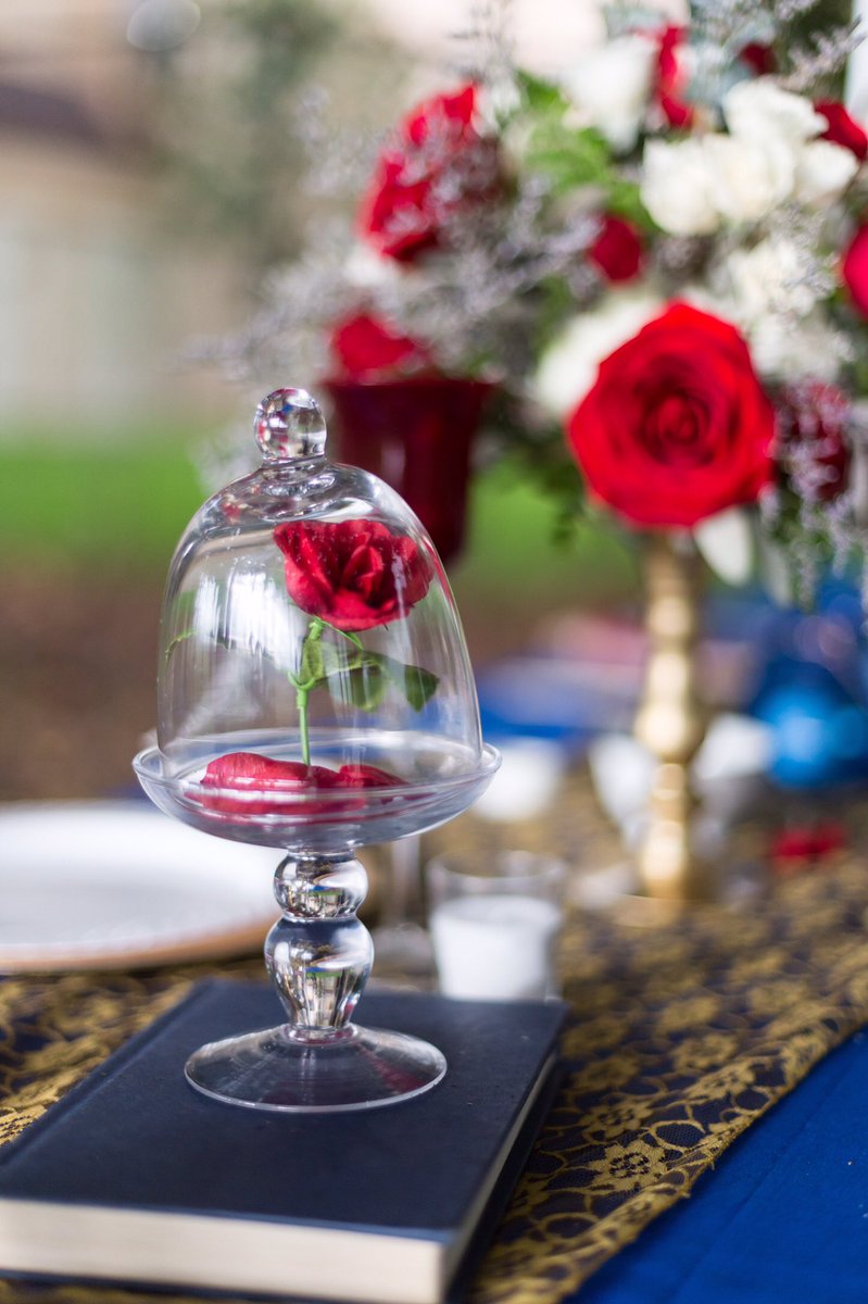 BleuPhotography's tweet photo. Beauty and the beast inspired wedding mock up https://t.co/ddwveD0GQU