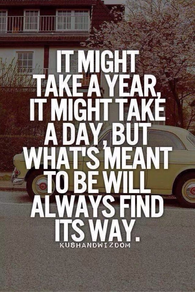 JohnMcGrathMB's tweet photo. Positivity, 
Patience,
Persistence, gets 
Phenomenal  Results.

#WednesdayWisdom 
#StrongmanJohn 
#Gratitude https://t.co/SYtu6FYZox