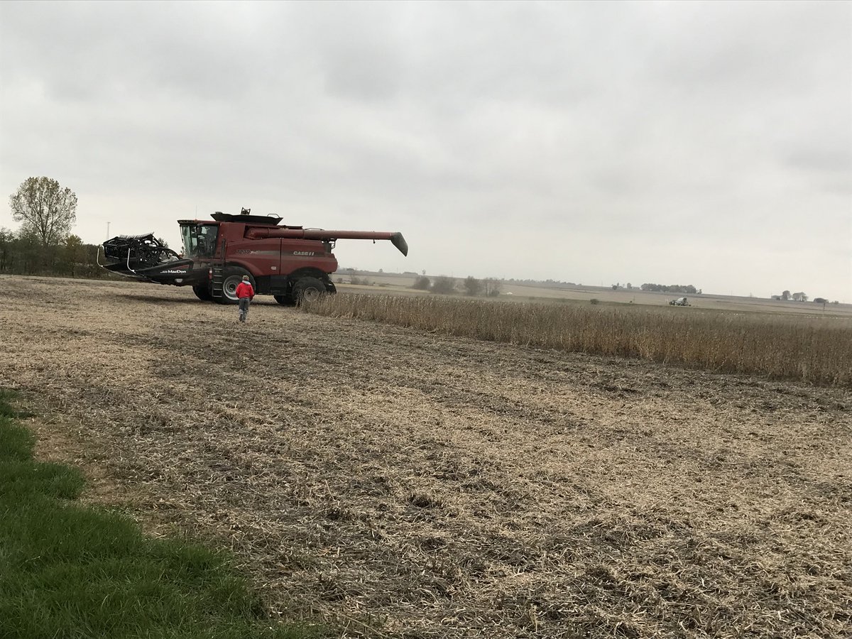 HeyFFAWX's tweet photo. Last week @heyworthffa harvested their test plot. This was the first year where weather data was collected on a soybean plot https://t.co/zUWcV7R5vy