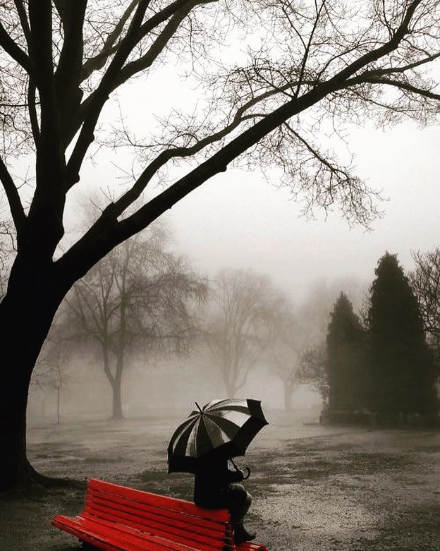 صبح وسهر
وليل ومطر..!
شاعر..ويرتب له سطر
تشتت أفكار..
وصوت البحر
حاول يكتب له شطر.'

ومثل السّحر ..
كن الحزن عليه أنهمر.
والدمع بعده ينتثر.