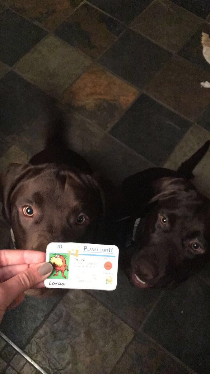 ml505643apes's tweet photo. Trigger and Paisley love to go swimming on their days off. Lets make sure we keep pollutants out of water to keep our furry friends safe! @franklinlorax #apeswater https://t.co/uVcPrUXude