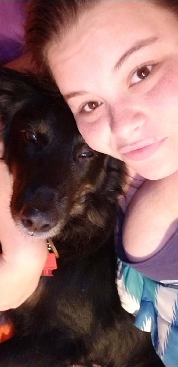 Mz_Ashtastic's tweet photo. Ace was happily sleeping on my arm so I woke him up for a picture! His face says it all. He looks so done with me haha #damnhuman #puppylove #dogsoftwitter #yesheisnamedafterAceVentura https://t.co/vyJ7jV4KaS