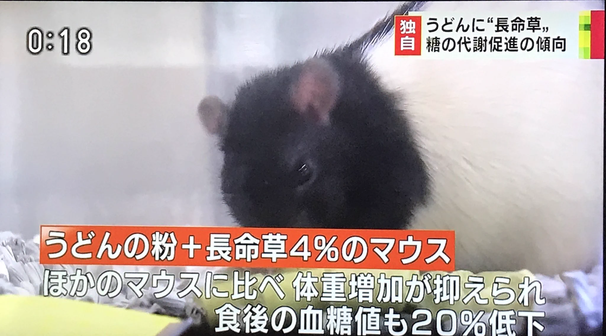 さすがうどん県ｗ香川県の糖尿病対策への発想がやばすぎるｗｗｗ