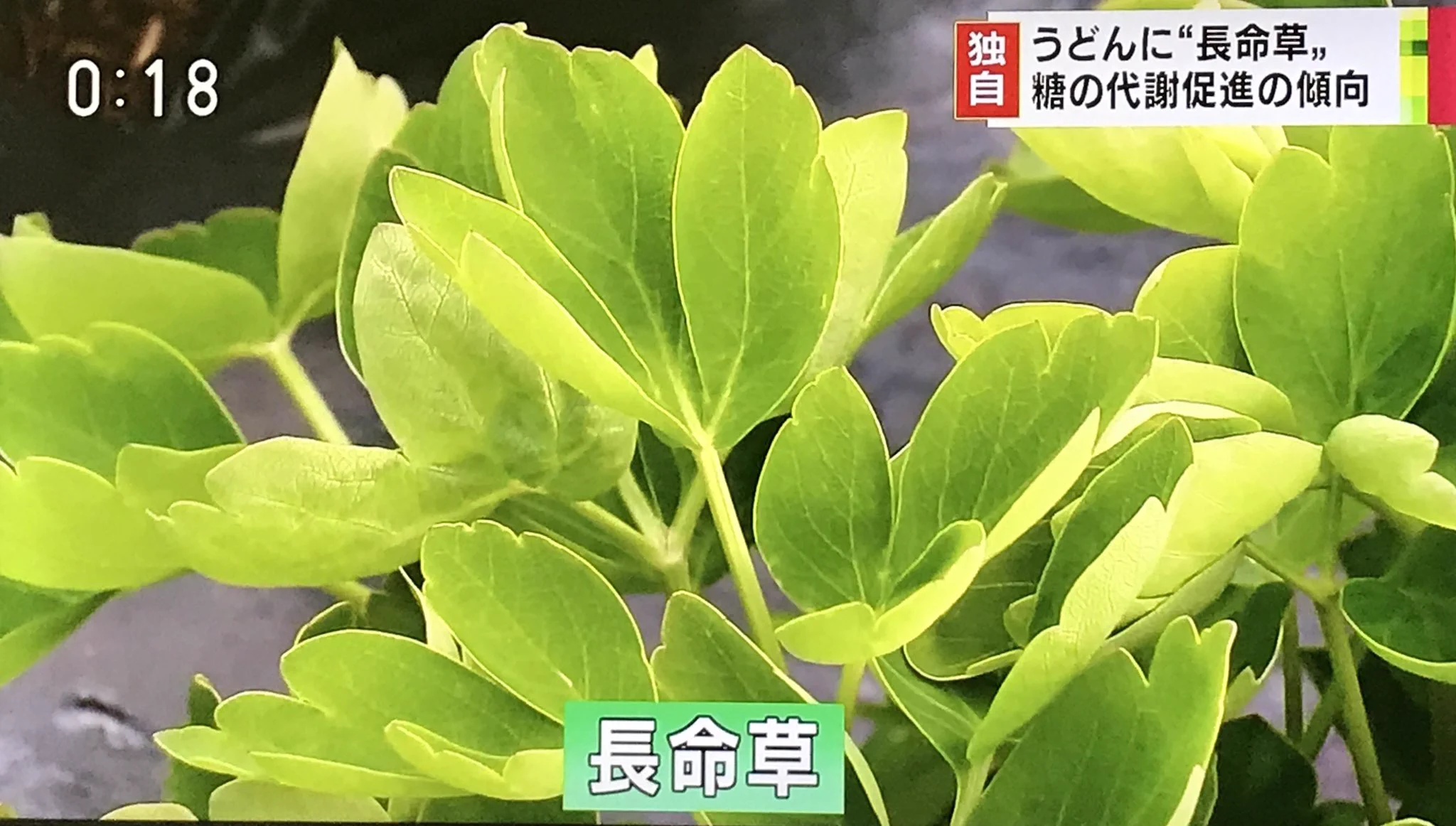 さすがうどん県ｗ香川県の糖尿病対策への発想がやばすぎるｗｗｗ