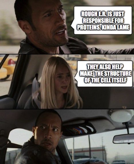 TheDonaldRough's tweet photo. Think again. #cellwars2017 https://t.co/NlRs5pXlsR
