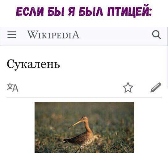 KsenPonomareva's tweet photo. https://t.co/QYmvtGrsQ0
