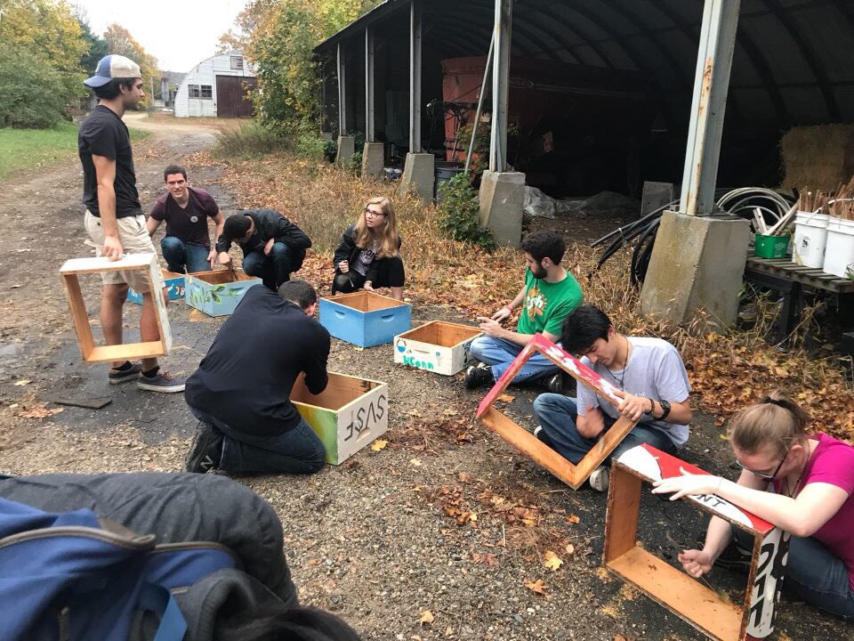 SaveTheBeesBuzz's tweet photo. UConnPIRG Save the Bees Campaign students cleaning out some bee boxes before winter hits Storrs #savethebees #beethechange https://t.co/UEifwVVQZi