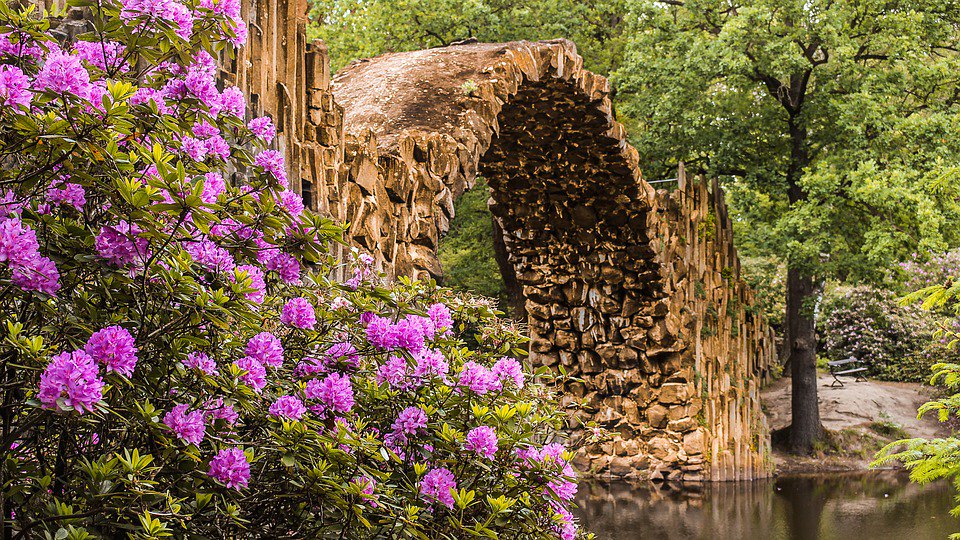 DannGarden's tweet photo. My dream place https://t.co/HEVuyDM4gH