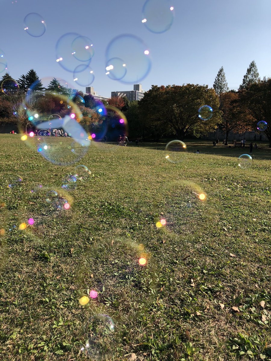 hty0831's tweet photo. 昨日までは晴天だったなぁ
#天気悪い
#晴天がいい
#今年
#雨ばっかり https://t.co/ICkZH7WrWP