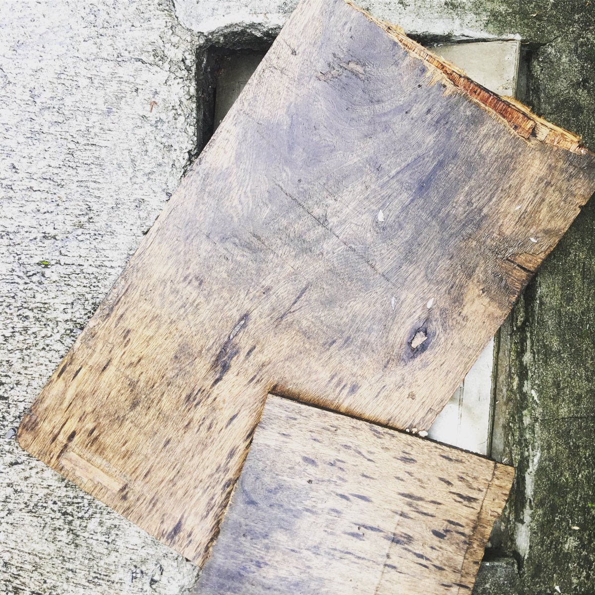 tabadev's tweet image. I hope your software maintenance culture does not look like this!  #maintenance #SoftwareQ #qualityassurance #bugfixing