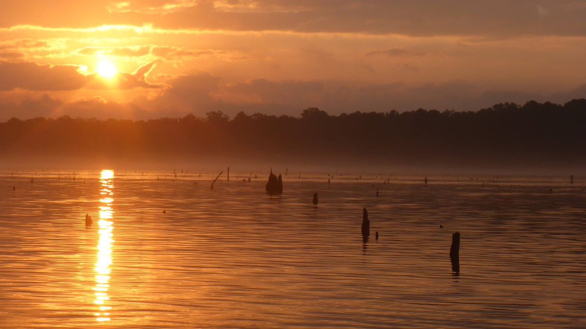 azkayakfish's tweet photo. Classic Toledo Bend shot - sun rising, slight fog on the water and the mine field of the flooded timber. #kbfopen #kbftop100 #azkayakfish https://t.co/AUFAK0YJRV