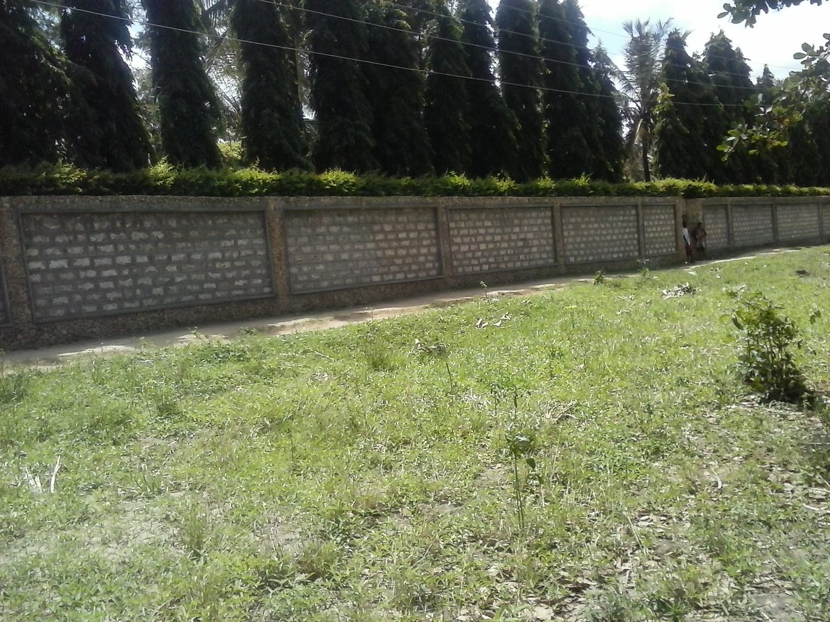 ShomotoRealtorz's tweet photo. Looking for prime land in coast? Kikambala, Majengo #Northcoast  1Acre Available! #PrimePropertyForSale #QuickSaleProperty https://t.co/rSuSWdrooR