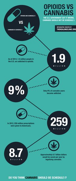 MinCannBusAssoc's tweet photo. The great #opioid vs. #cannabis debate...Comment below!
#WarOnDrugs #Facts #Stats #TrueMedicine https://t.co/fuqQUS7vfR