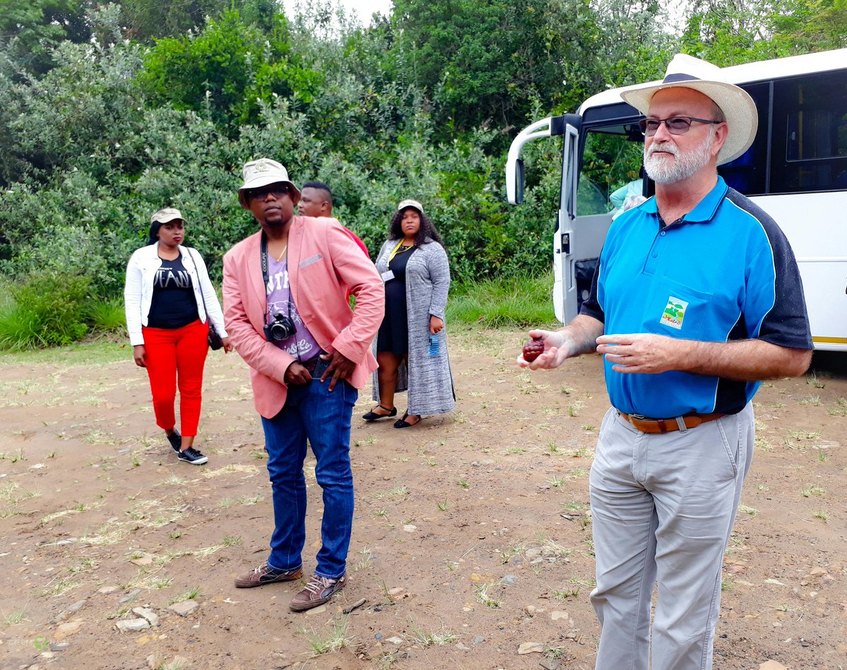 CeecesTravel's tweet photo. Bruce from @VisitZululand teaching us about the #RaphiaPalm Forest π΄π #KingsExperience #CeeAtKings https://t.co/vFsSJbDVsQ