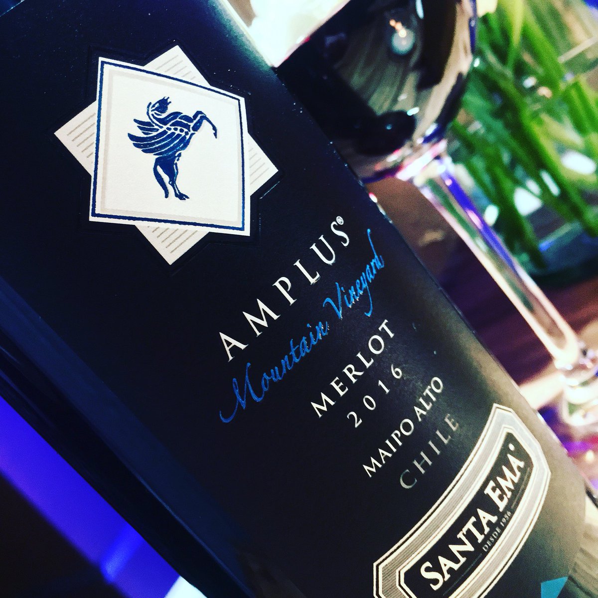 lanzamiento #NuevoMerlotSantaEma <a href="/vinasantaema/">Viña Santa Ema</a> ✨✨✨ #wine #winelover #toast #chileanwine #santaema #event #journalist