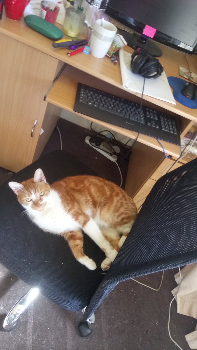 allcatsarejerks's tweet photo. You're doing a terrible job #editingcat
The computer isn't even on https://t.co/pbM35E4sCU