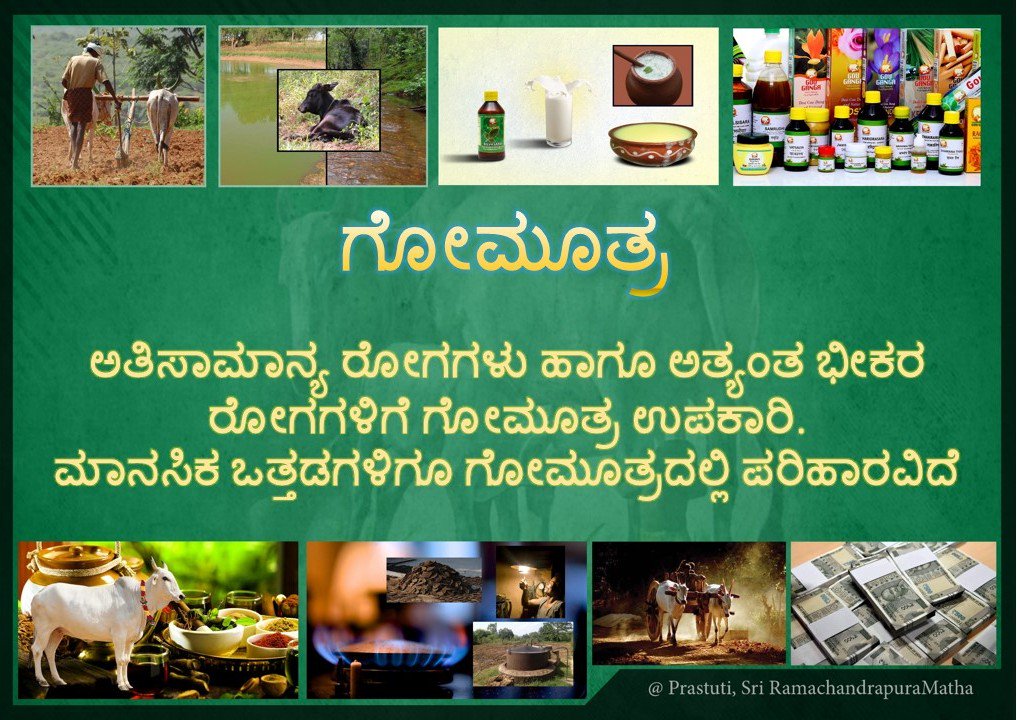 GouParivara's tweet photo. @SriSamsthana @ShankaraPeetha @gourakshaka @Goumatha @GoubandhuSrpm @MahanandiGoulok @MaluruGoushala @Kamadugha_SRPM @dk_gouparivar @GouKinkara @Prastuti_SRPM @GouNidhi_SRPM @Shankaracarya36 @jai_janata @mangalurumandal @HMahamandala @Sahitya_Surabhi @SagaraMandala @Maadhyama @Shishya_Bhava @havyakayuvasene @srigokarna @SriMathaKekkar @SriMathaBlore @Srimukha_DB @SrinirdeshaSRPM @SriMathaMani @WithSriSri ಉಗುರು ಸುತ್ತು / ಕಾಲಿನ ಉಗುರಿನಲ್ಲಿ ಧೂಳಿನಿಂದ ಉಂಟಾಗುವ ತೊಂದರೆ, ಉಗುರಿನ ಬುಡದ ಫಂಗಲ್ ಇನ್ಫೆಕ್ಷನ್ ಗಳ ನಿವಾರಣೆಗೆ ಗೋಮೂತ್ರದ ಬಳಕೆ ಫಲಕಾರಿ. #ಗವ್ಯ #Gavya #ProtectWithPen https://t.co/bWcivu1LEr