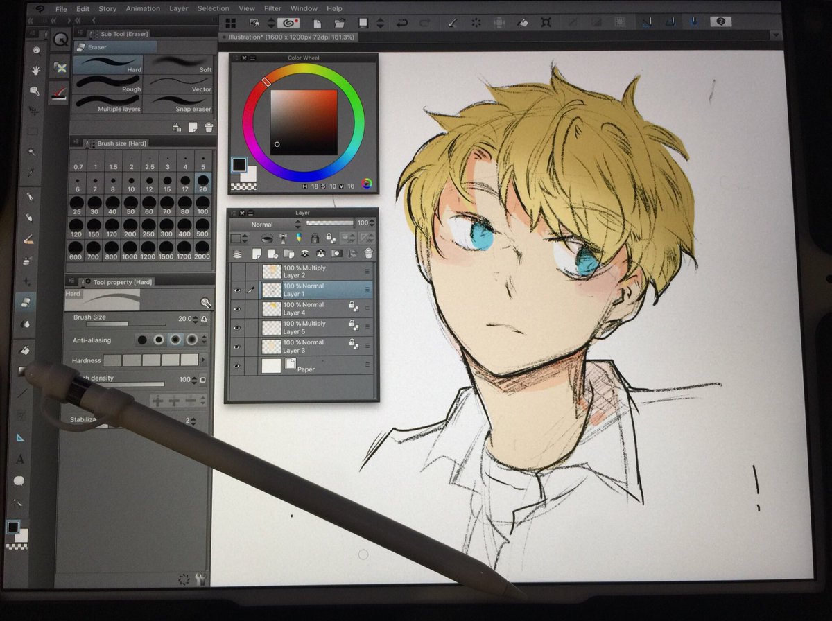 clip studio paint ipad